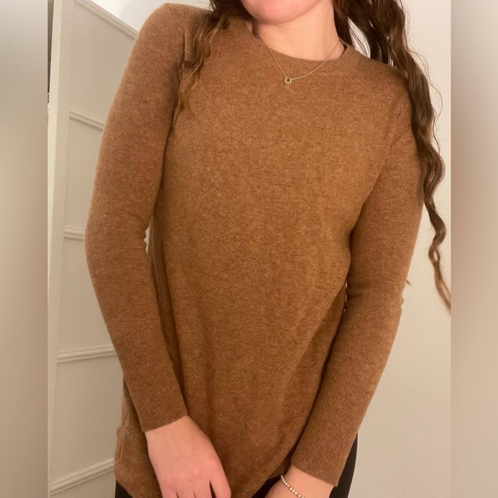 NTW J.Crew brown sweater